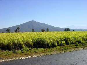 DSC02164 Cane fields with volcano near Los Reyes.jpg